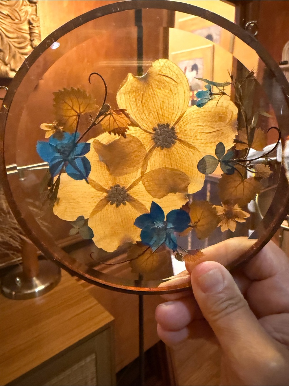 Vintage Pressed Flower Glass Suncatcher Frame 6" Round Hanging Boho Home Decor